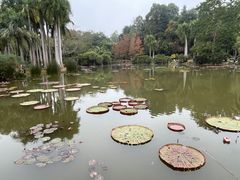 -中国科学院西双版纳热带植物园