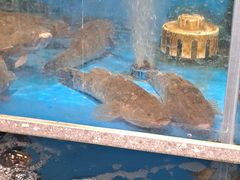 -盒马鲜生(馥邦国际店)