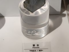 -正佳自然科学博物馆