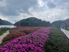 -广州市石门国家森林公园