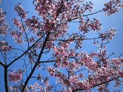 -福建鲤鱼洲酒店