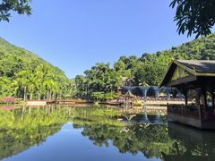 -西双版纳原始森林公园
