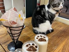 -猫小院猫主题餐厅(南锣旗舰店)