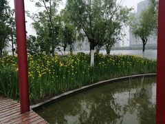 -天鹅湖体育公园