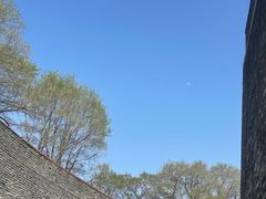 -北陵公园