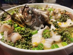 青青椒麻龙胆鱼-CHIC1699远洋私厨