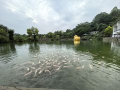 -谷丰健康凤贤居酒家