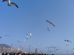 -星海广场