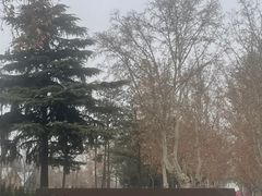 -汉长安城未央宫国家考古遗址公园