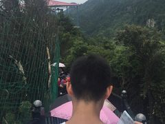 -梦幻奥陶纪景区