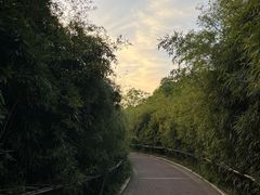 -南京眼步行桥