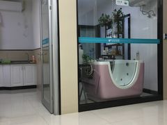 -安安宠医·安烨宠物医院·宠物保险(北仑分院)