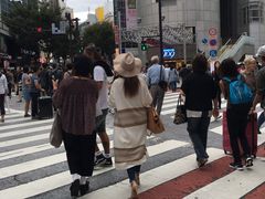 -涩谷区