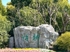 -上海鲜花港
