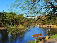 -庐山风景区花径公园