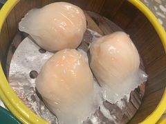 -金香匯晚茶(浑南店)