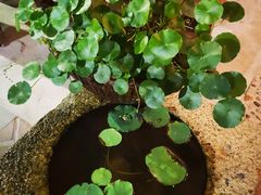 -茶米人台湾料理·精致快简餐