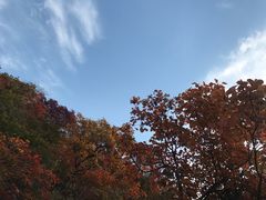 -博山九龙峪风景区