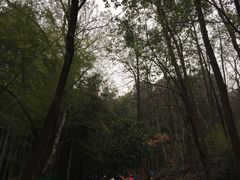 -灵岩山风景区