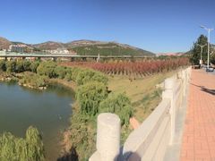 -山东大学(兴隆山校区)