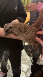 -Zoolung Zoolung动物主题公园(海信广场店)