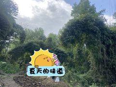 -青城山