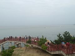 -养马岛旅游度假区