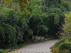 -黔灵山公园