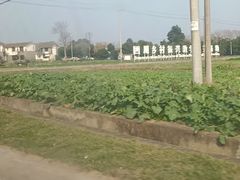 -桤木河湿地公园