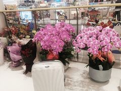 -丽达购物中心(崂山店)