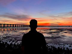 -宝安西湾红树林湿地公园