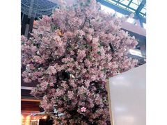 -Simple Yummy简单美味(上邦百汇城店)
