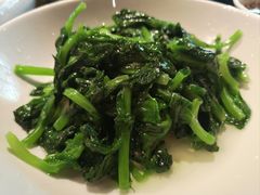 五粮液嫩豆苗-玫瑰厅上海菜(兴国路店)