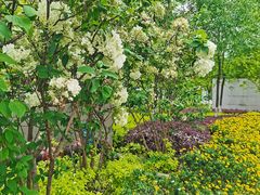 -大龙山(地铁站)