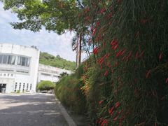 -广州市流溪河国家森林公园