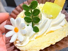 -杜哈夫DOUX RÊVE·生日蛋糕(日月光店)