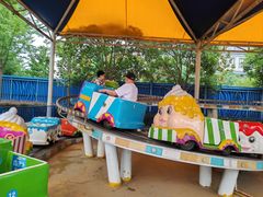 -芜湖新华联大白鲸海洋公园