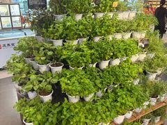 -Olé精品超市(沈阳万象城店)