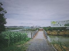 -米果果小镇
