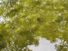 -北京上方山国家森林公园