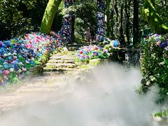 -云丘山景区