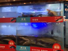-三江源活鱼现烤(维多利摩尔城店)
