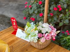 -西双版纳傣族园