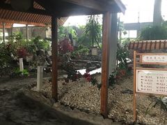 -河北霸州茗汤日月潭温泉