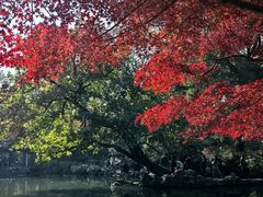 -惠山古镇·寄畅园