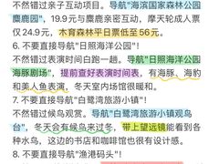 -日照海滨国家森林公园
