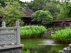 -顺峰山公园