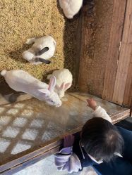 -酷嗒动物文化乐园(cutezoo西溪乐天城店)