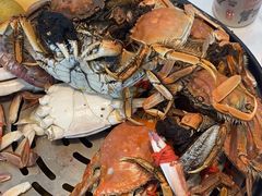 -半岛听涛蒸汽海鲜自助(K11店)