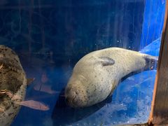 -秦皇岛新澳海底世界